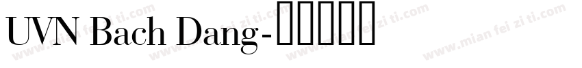 UVN Bach Dang字体转换